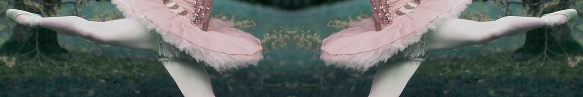 ballett Ballerina Beine ballett Ballerina Beine