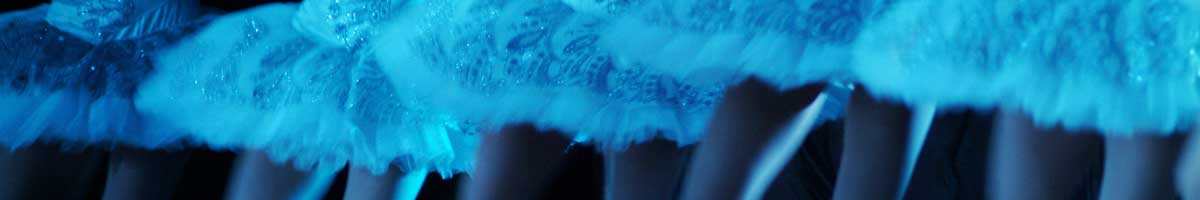 ballett tutu ballett tutu